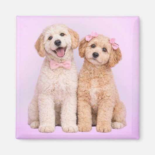 Goldendoodle-Welpenliebe Valentinsmagnet Magnet (Vorne)