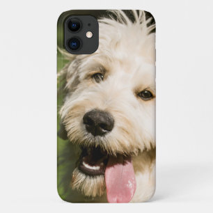 Goldendoodle Welpenpaneel Case-Mate iPhone Hülle