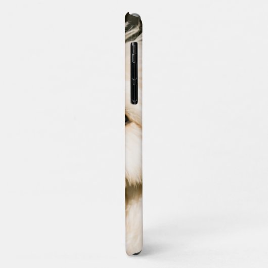 Goldendoodle Welpenpaneel Case-Mate iPhone Hülle (Hinten/Links)