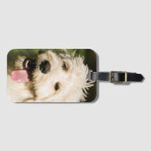 Goldendoodle Welpenpaneel Gepäckanhänger (Vorderseite (Horizontal))