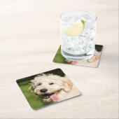 Goldendoodle Welpenpaneel Rechteckiger Pappuntersetzer (Vor Ort)