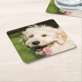 Goldendoodle Welpenpaneel Rechteckiger Pappuntersetzer (angewinkelt)