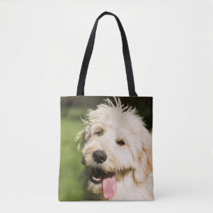 Goldendoodle Welpenpaneel Tasche