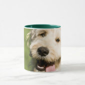 Goldendoodle Welpenpaneel Tasse (Zentrum)