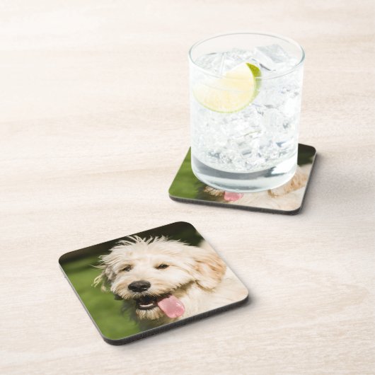 Goldendoodle Welpenpansche Getränkeuntersetzer (Rechte Seite)