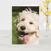 Goldendoodle Welpenpansche Karte (Gelbe Blume)