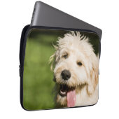 Goldendoodle Welpenpansche Laptopschutzhülle (Vorne Rechts)