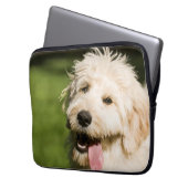 Goldendoodle Welpenpansche Laptopschutzhülle (Vorderseite Links)