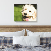 Goldendoodle Welpenpansche Leinwanddruck (Insitu (Schlafzimmer))