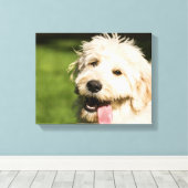 Goldendoodle Welpenpansche Leinwanddruck (Insitu (Holzboden))