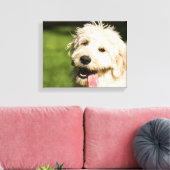 Goldendoodle Welpenpansche Leinwanddruck (Insitu (Wohnzimmer))
