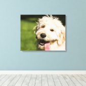 Goldendoodle Welpenpansche Leinwanddruck (Insitu (Holzboden))