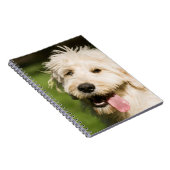 Goldendoodle Welpenpansche Notizblock (Rechte Seite)