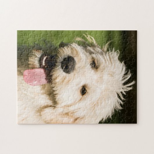 Goldendoodle Welpenpansche Puzzle (Horizontal)