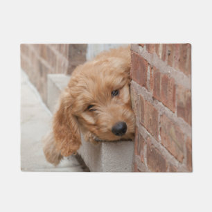 Goldendoodle-Welpenpfanne Fußmatte