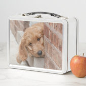 Goldendoodle-Welpenpfanne Metall Brotdose (Beispiel)