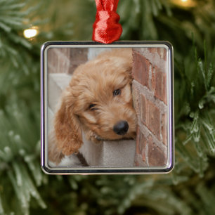 Goldendoodle-Welpenpfanne Ornament Aus Metall
