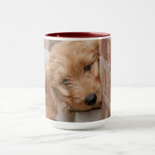 Goldendoodle-Welpenpfanne Tasse