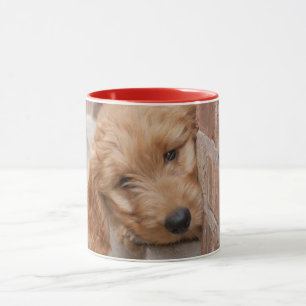 Goldendoodle-Welpenpfanne Tasse