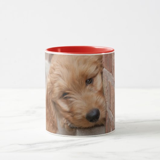 Goldendoodle-Welpenpfanne Tasse (Zentrum)