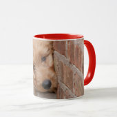 Goldendoodle-Welpenpfanne Tasse (VorderseiteRechts)