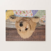 Goldendoodle Welpenpuzzlespiel Puzzle (Horizontal)