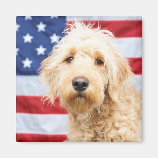 Goldendoodle With American Flag Magnet (Vorne)