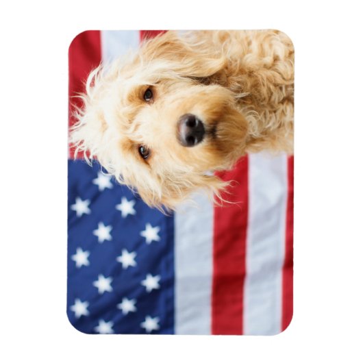 Goldendoodle With American Flag Magnet (Vertikal)