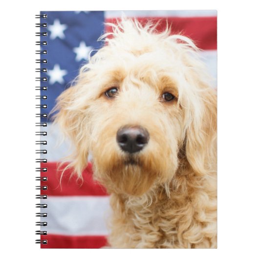 Goldendoodle With American Flag Notizblock (Vorderseite)