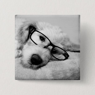 Goldendoodle With Glasses Button