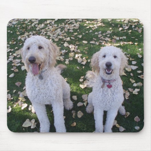 GoldenDoodles im Herbstlaub Mousepad (Vorne)