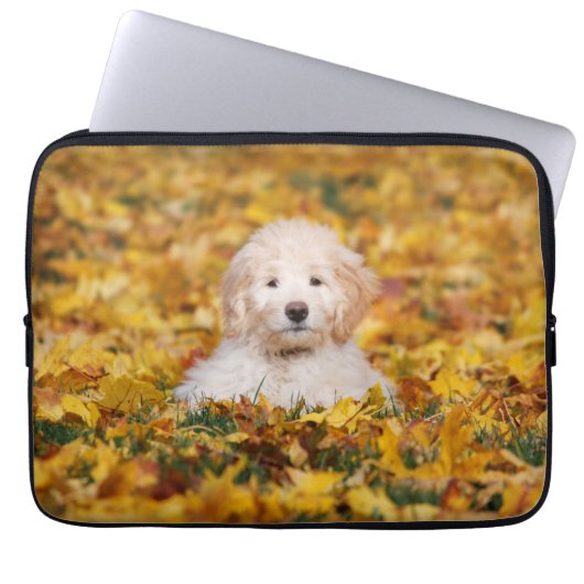 Goldendoodolle Welpe in Herbstlauben Laptopschutzhülle (Vorderseite)