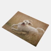 Goldendoodrom läuft durch Gras Fußmatte (Schrägansicht)