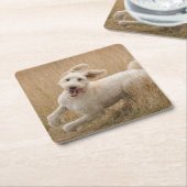 Goldendoodrom läuft durch Gras Rechteckiger Pappuntersetzer (angewinkelt)