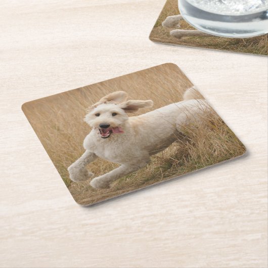 Goldendoodrom läuft durch Gras Rechteckiger Pappuntersetzer (angewinkelt)