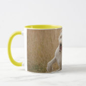 Goldendoodrom läuft durch Gras Tasse (Links)