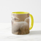 Goldendoodrom läuft durch Gras Tasse (VorderseiteRechts)