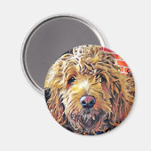 Goldendoolde Puppy Magnet (Vorderseite/Rückseite)