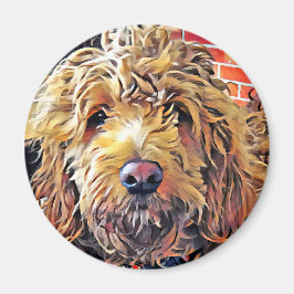 Goldendoolde Puppy Magnet