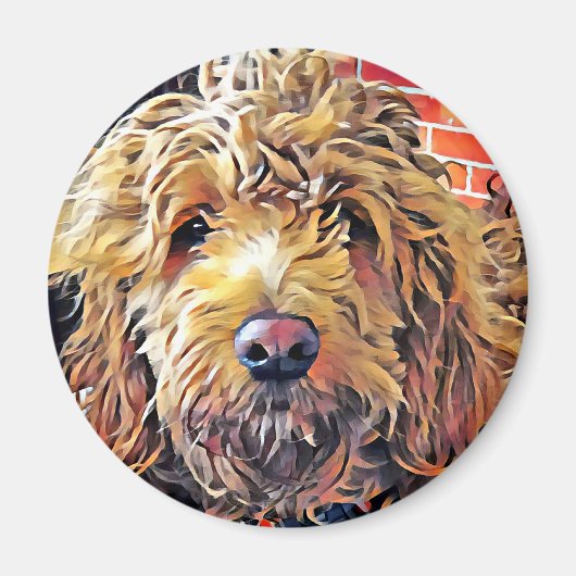 Goldendoolde Puppy Magnet (Vorne)