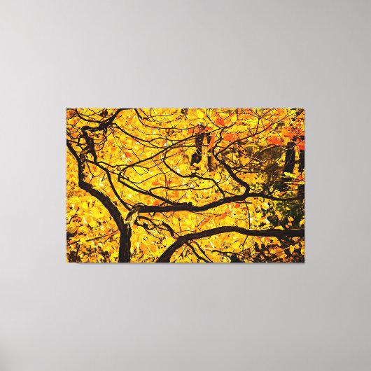Goldene Adern des Herbstes Leinwanddruck (Vorderseite)