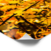 Goldene Adern des Herbstes Poster (Ecke)