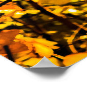 Goldene Adern des Herbstes Poster (Ecke)