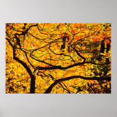 Goldene Adern des Herbstes Poster (Vorne)