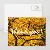 Goldene Adern des Herbstes Postkarte (Vorne/Hinten)