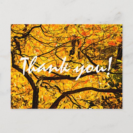 Goldene Adern des Herbstes Postkarte (Vorderseite)