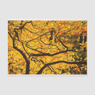 Goldene Adern des Herbstes Seidenpapier