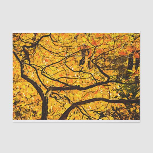 Goldene Adern des Herbstes Seidenpapier (Vorderseite)