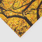 Goldene Adern des Herbstes Seidenpapier (Ausschnitt)