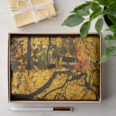 Goldene Adern des Herbstes Seidenpapier (Geschenk)